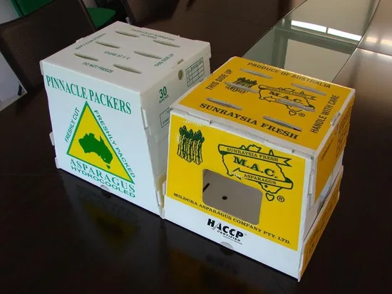 China Material Corrugated Corflute Boxes Folding Box Coroplast Sign Board Manufacturer PP Corrugated Plastic Plastic