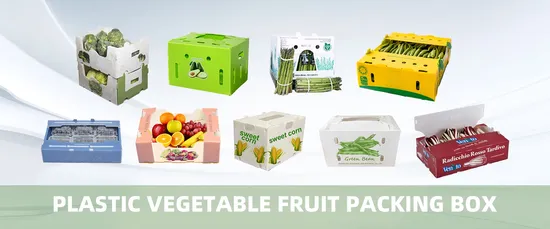 Waterproof Recyclable Foldable Stackable Corflute PP Corrugated Hollow Plastic Box Ginger Packing Box