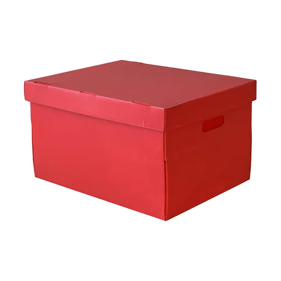 Fruits/Vegetables Packaging Box PP Packing Corrugated Plastic Carton PP Correx Cartons Customized Corn Boxes