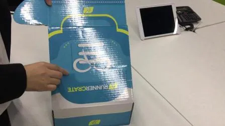 Color Printed Folding Corrugated Box with Plastic Handle