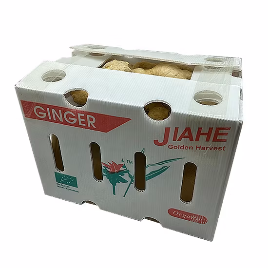 Vegetable and Fruit PP Corrugated Plastic Packaging Box
