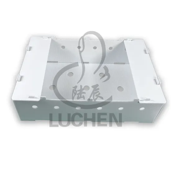 Hollow Board Folding Storage Plastic PP Corrugated Moving Boxes 