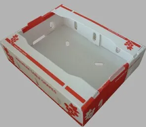 Fresh Fruits Vegetables PP Corrugated Plastic Box