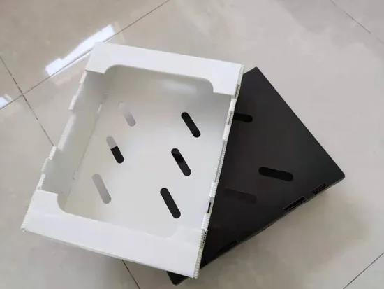 Durable Collapsible Polypropylene Corrugated Plastic Box with Reusability & Recyclability 
